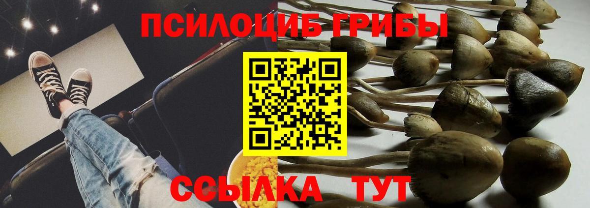 Галлюциногенные грибы прущие грибы  Вход с VPN  Торжок  Галлюциногенные грибы Magic Shrooms 