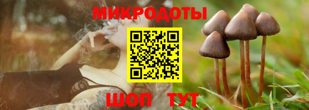 Псилоцибиновые грибы прущие грибы Торжок